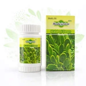 حبوب الصبار الأصلية